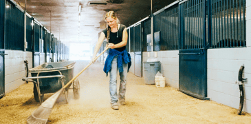 Teen working in a horse barn.
