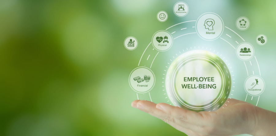 Image of hand holding a ball with employee well being written on it