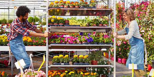 Co-workers are pushing trolley of various flowering plants at a garden center.
