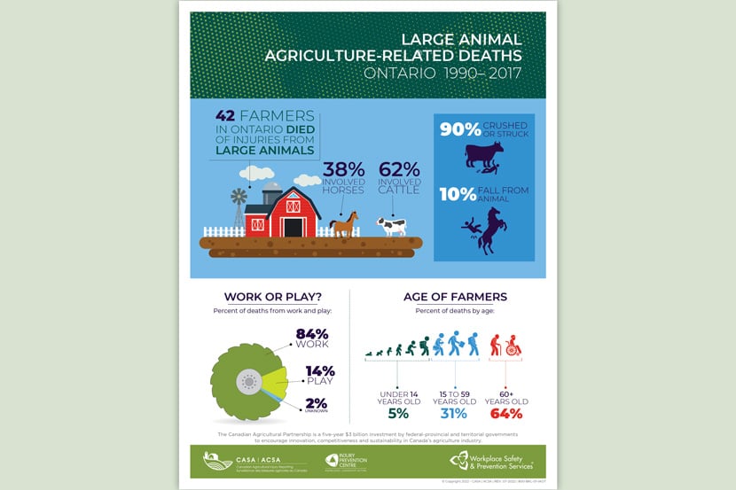 Large Animal Poster_830x553px