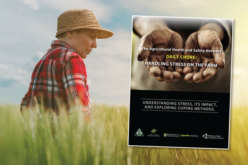 The Agricultural Health and Safety Network | Daily Chore: Handling Stress on the Farm Publication Cover