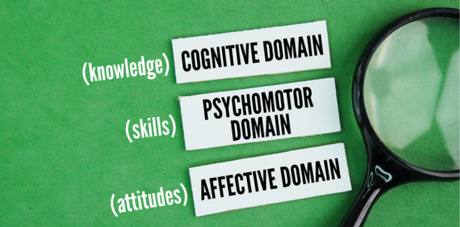 Cognitive Diversity: The Hidden Driver of High-Performing Teams